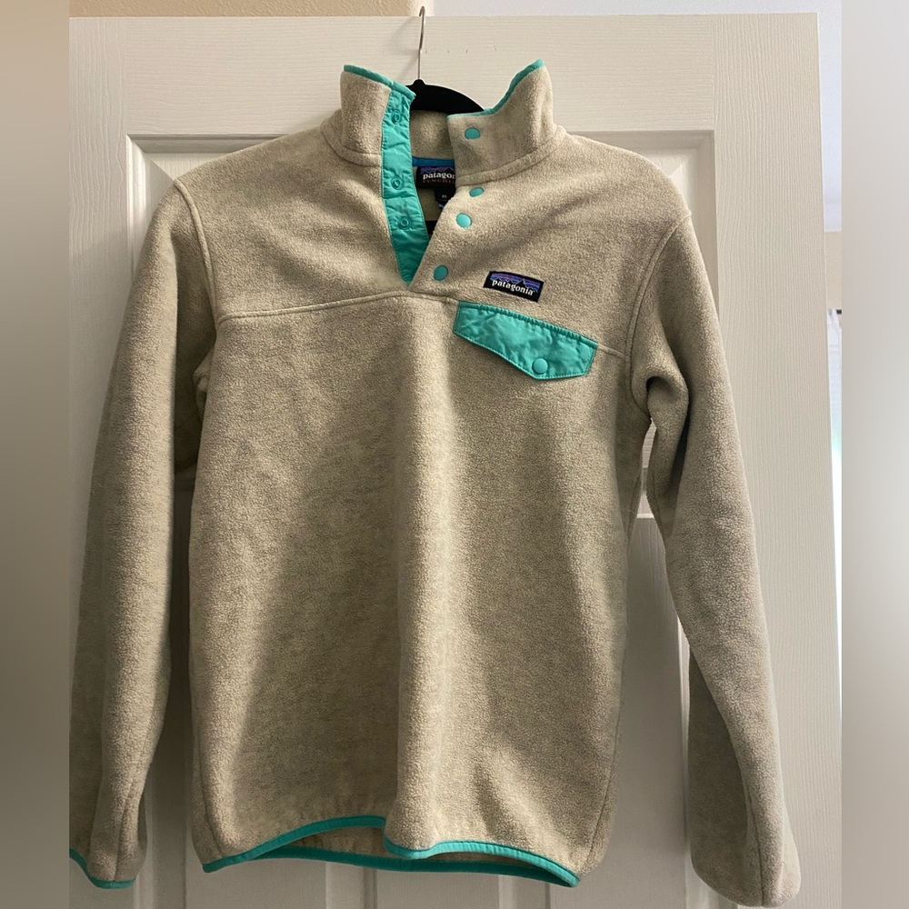 Patagonia fleece synchilla pullover